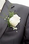 white rose in his lapel of his jacket the groom