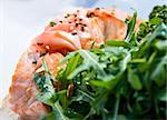 grilled salmon - french cuisine dish with fresh salad