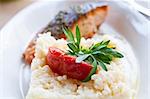 grilled salmon - french cuisine dish with tomato and salmon