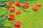 Group of red tulips over colored background