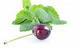 Fresh green mint and cherry on white background