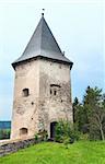 Spring view of old castle tower (Ternopil region, Ukraine).