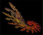 Frond shaped fractal in fall colors of red, orange, gold, and Yellow on a black background.