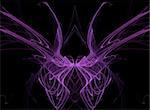 Abstract fractal illusion of purple butterfly wings on a black background.