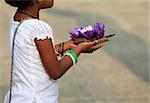 Flowers of a lotus in hands of the little girl