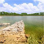 Scenic view of a lake in the Everglades National Park - USA.