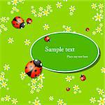 Vector spring background with small flowers and ladybugs