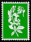 vector silhouette of the plant on postage stamps