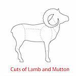 Cuts of Lamb and Mutton.Pattern diagram