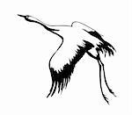 vector silhouette flying crane on white background