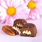 Pecan nut truffle with pecan nut beside and pink flowers in the back (Very Shallw Depth of Field, Focus on the upper front part of the truffle)