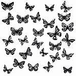 Silhouettes of butterflies with patterns. Vector illustration. Vector art in Adobe illustrator EPS format, compressed in a zip file. The different graphics are all on separate layers so they can easily be moved or edited individually. The document can be scaled to any size without loss of quality.