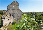 Spring view of Castle ruins (Sydoriv village ,Ternopil Oblast, Ukraine).
