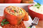 Baked stuffed red bell pepper filled with minced meat, onion, rice, tomato and green onion served on tomato sauce with rice in the back (Selective Focus, Focus on the tomato piece and the stuffing around it on the top)