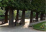 Lonely benches in the park