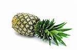 Pineapple spread on a white background