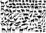 animal of africa collection - vector