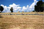 Barbed wire closeup over brown fields and cloudy blue sky