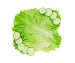 Lettuce leaves with cucumber slices isolated on white background