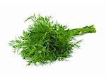 Fresh green dill isolate on white background
