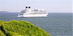 Cruise ship in Finland Gulf with yellow flowers in the foreground, Suomenlinna Sveaborg Helsinki