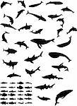 collection of sea animals silhouette - vector