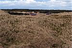 Grass dune and sommerhouses all with thatched roofs and flagpoles.