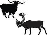 goat and reindeer - vector