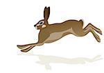 Running hare. The illustration on white background.