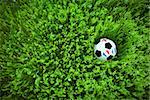 Soccer ball on the green and tall grass
