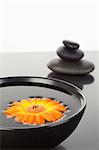 Orange gerbera floating on a black bowl and a stack of black pebbles