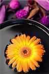 Orange flower floating in a black bowl and purple dry flowers focus with the camera on the flower