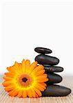 An orange sunflower and a black stones stack against a white background