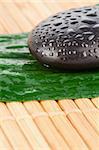 Close up of a black stone and a leaf