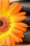 Close up of a black stones stack and an orange sunflower