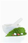 Mortar and pestle with pills on a leaf against a white background