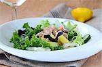 Traditional salad nicoise with fish, onions and potatoes