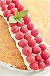 Sponge cake with the cream and the raspberries