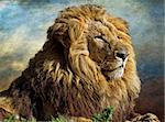The lion King, profile image