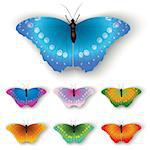 color butterflies isolated on a white background