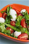 Salad with fresh lettuce leaves, tomatoes and cucumbers