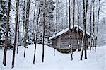 Winter house