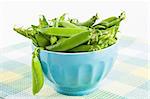 Pods green sweet organic peas in blue bowl