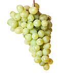 green grapes isoalted on white