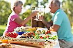 Couple Dining Al Fresco, Toasting Each Other