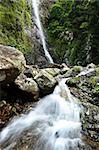 waterfall in forest