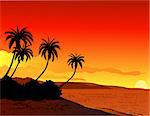 Vector illustration of tropical beach sunset background