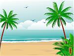 Vector illustration of tropical beach background