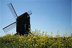 pitstone windmill one of englands oldest in the fields around ivinghoe village in buckinghamshire