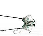 fishing net with money and water,conceptual photo